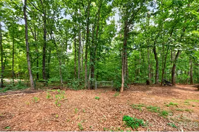 3635 Will Street, Iron Station, NC 28080 - Photo 48