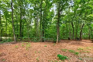 3635 Will St, Iron Station, NC 28080 - Photo 48