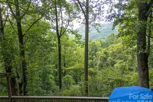 1073 Countryside Dr, Waynesville, NC 28785 - Photo 4