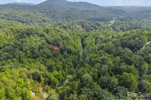 126 Swans Way W, Lake Lure, NC 28746 - Photo 40