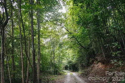 6830 Bat Cave Road, Old Fort, NC 28762 - Photo 44