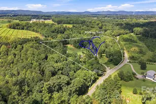1732 Paul Payne Store Rd, Taylorsville, NC 28681 - Photo 40