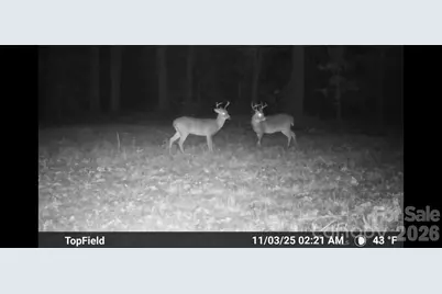 1732 Paul Payne Store Road, Taylorsville, NC 28681 - Photo 44