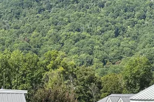 27 Levi Dr, Maggie Valley, NC 28751 - Photo 4