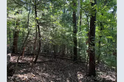 121 Bobby Jones Drive #48, Hendersonville, NC 28739 - Photo 6