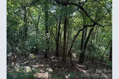 121 Bobby Jones Drive #48, Hendersonville, NC 28739 - Photo 12