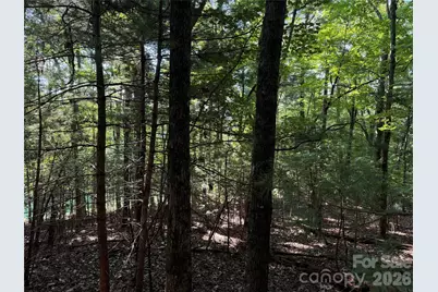 121 Bobby Jones Drive #48, Hendersonville, NC 28739 - Photo 10