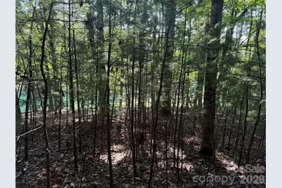 121 Bobby Jones Drive #48, Hendersonville, NC 28739 - Photo 2