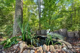 4218 Piney Rd, Morganton, NC 28655 - Photo 26