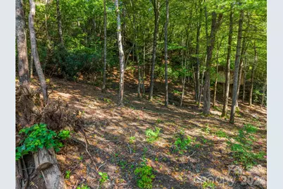 130 Summit Rise Road, Pisgah Forest, NC 28768 - Photo 8