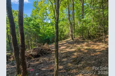 130 Summit Rise Road, Pisgah Forest, NC 28768 - Photo 10