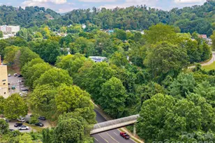 10 Birdhouse Row, Asheville, NC 28801 - Photo 46