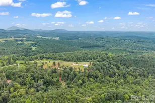 2255 Lake Adger Rd, Mill Spring, NC 28756 - Photo 12