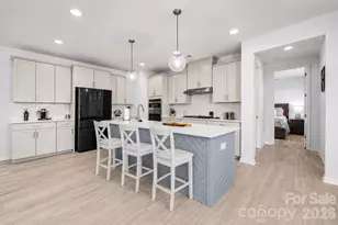 16203 Tulloch Rd, Charlotte, NC 28278 - Photo 14