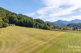 422 S Turkey Creek Rd, Leicester, NC 28748 - Photo 46