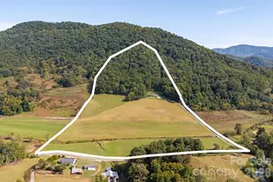 422 S Turkey Creek Rd, Leicester, NC 28748 - Photo 36