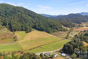 422 S Turkey Creek Rd, Leicester, NC 28748 - Photo 38