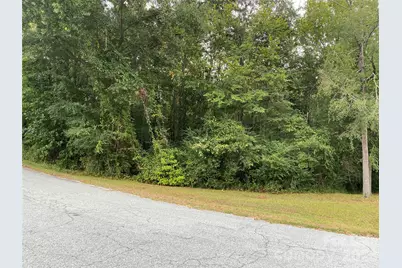 245 Slayton Street, Whitmire, SC 29178 - Photo 1