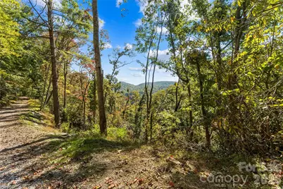 605 Lower Loop Drive, Fletcher, NC 28732 - Photo 12