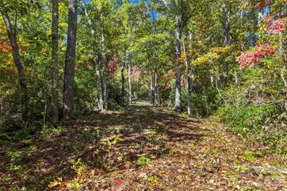 605 Lower Loop Drive, Fletcher, NC 28732 - Photo 6