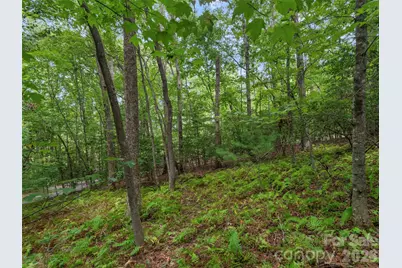 9999 Royal Knoll Drive, Hendersonville, NC 28792 - Photo 4