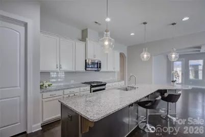 10025 St Kitts Landing Lane, Charlotte, NC 28278 - Photo 16