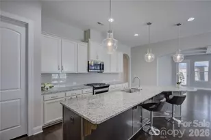 10025 St Kitts Landing Ln, Charlotte, NC 28278 - Photo 16