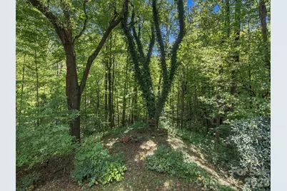 151 Tiger Lily Lane, Waynesville, NC 28786 - Photo 8