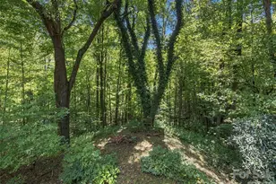 151 Tiger Lily Ln, Waynesville, NC 28786 - Photo 8