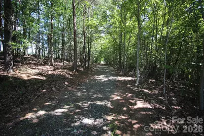 221, 219 McNeilly Road, Casar, NC 28020 - Photo 10