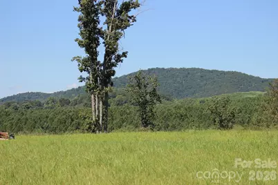 221, 219 McNeilly Road, Casar, NC 28020 - Photo 4
