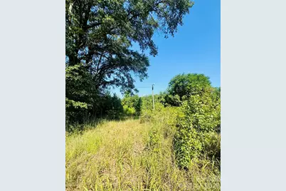 0000 Newman Lane, Jefferson, SC 29718 - Photo 4