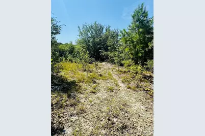 0000 Newman Lane, Jefferson, SC 29718 - Photo 8
