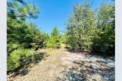0000 Newman Lane, Jefferson, SC 29718 - Photo 10