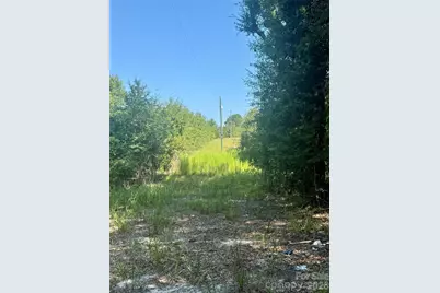 0000 Newman Lane, Jefferson, SC 29718 - Photo 1