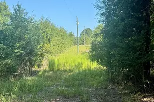 0000 Newman Ln, Jefferson, SC 29718 - Photo 1