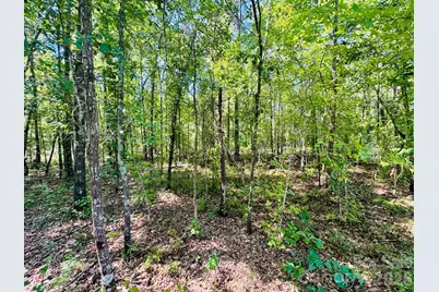 0000 Newman Lane, Jefferson, SC 29718 - Photo 12