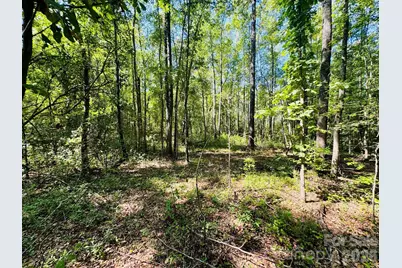 0000 Newman Lane, Jefferson, SC 29718 - Photo 14