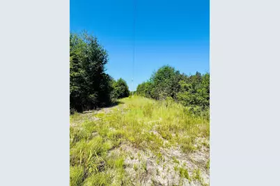 0000 Newman Lane, Jefferson, SC 29718 - Photo 6