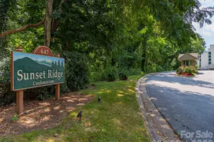 647 Town Mountain Rd, Asheville, NC 28804 - Photo 22