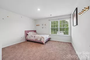 7105 Pennyroyal Wy, Charlotte, NC 28216 - Photo 22