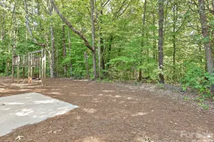 11200 Walking Horse Ln, Charlotte, NC 28215 - Photo 30