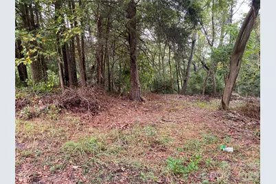 0 Slayton Street, Whitmire, SC 29178 - Photo 2