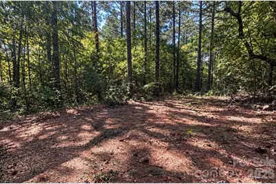 1216 Ross Road, Blackstock, SC 29014 - Photo 8