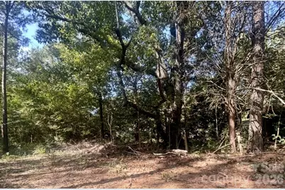 1216 Ross Road, Blackstock, SC 29014 - Photo 14