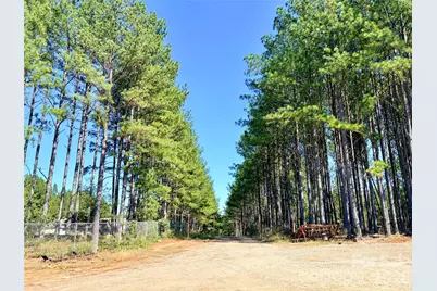 550 Dills Road #9, Rutherfordton, NC 28139 - Photo 4