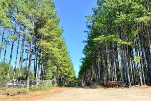 550 Dills Rd, Rutherfordton, NC 28139 - Photo 4