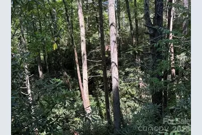 Tbd Jane Lane, Hendersonville, NC 28792 - Photo 8