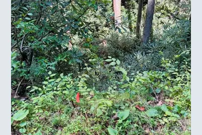 Tbd Jane Lane, Hendersonville, NC 28792 - Photo 38