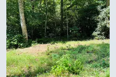 Tbd Jane Lane, Hendersonville, NC 28792 - Photo 6